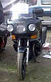 OldiesVet 026